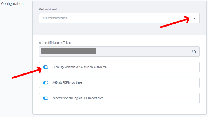 Ansicht API-Token f&uuml;r die AGB-Schnittstelleneinrichtung in Shopware 6