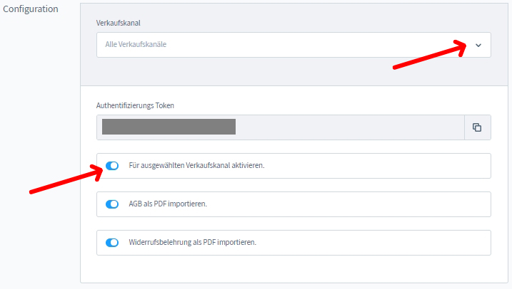 Ansicht API-Token für die AGB-Schnittstelleneinrichtung in Shopware 6