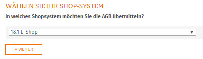 Auswahl 1&1 E-Shop für die Datenübertragung