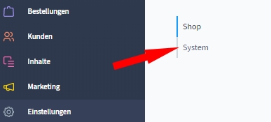 Auswahl Einstellungen - System in Shopware 6