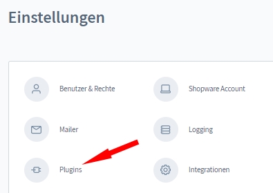 Auswahl Plugins im Shopware 6 Shop