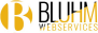Bluhm Webservices UG (haftungsbeschränkt)