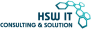 HSW IT Consulting & Solution