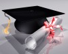 Master or Facharzt: Das Führen des Master-Titels einer österreichischen Universität ist nicht wettbewerbswidrig