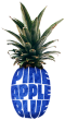 PineappleBlue - Agentur f&uuml;r Webdesign & Co