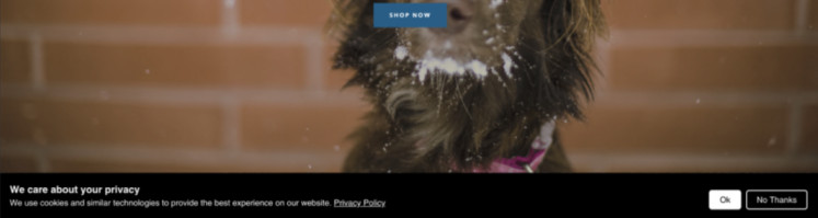 Shopify-CCT 3